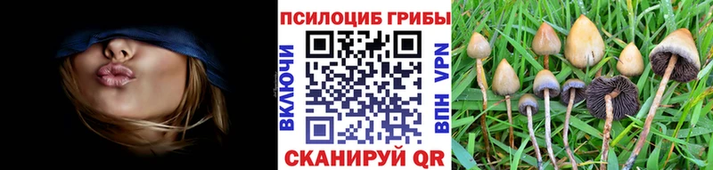 Галлюциногенные грибы GOLDEN TEACHER  продажа наркотиков  Кузнецк 